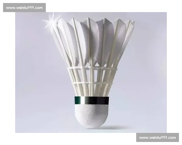 羽毛球价格两年翻倍！碳音球成训练刚需遭抢购断货